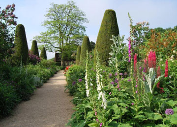 Picture of the Hidcote Gardens