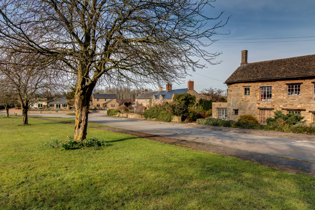 Picture of the country Side with Sheep